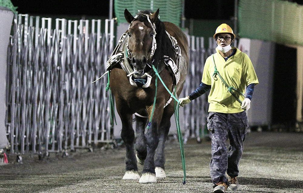 新品　未開封　ばんえい競馬　十勝　ばんえいグランプリ　法被　和　祭り　日本　赤 新品 未開封 ばんえい競馬 十勝 ばんえいグランプリ 法被 和
