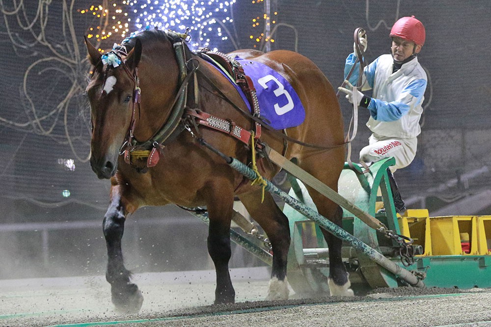 新品　未開封　ばんえい競馬　十勝　ばんえいグランプリ　法被　和　祭り　日本　赤 新品 未開封 ばんえい競馬 十勝 ばんえいグランプリ 法被 和