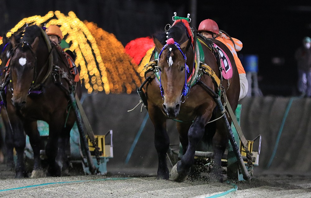 新品　未開封　ばんえい競馬　十勝　ばんえいグランプリ　法被　和　祭り　日本　赤 新品 未開封 ばんえい競馬 十勝 ばんえいグランプリ 法被 和