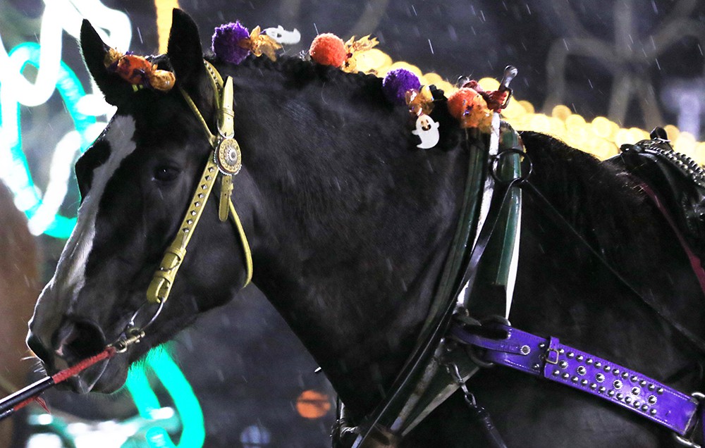 10月16日（土）ばんえい競馬 開催日です | 【公式】ばんえい十勝