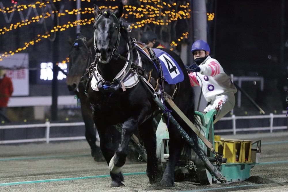 競馬 歴代ばんえい最強馬投票優勝馬 鈴木恵介騎手直筆サイン木箱 証明