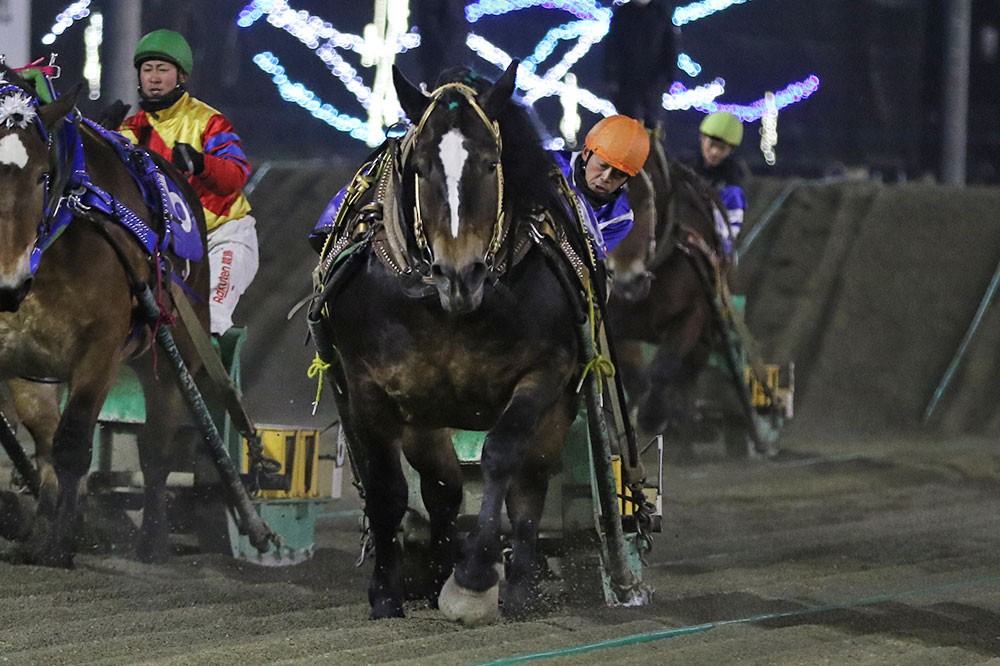 12月12日（日）メインレース騎手コメント シンエイボブ号 | 【公式