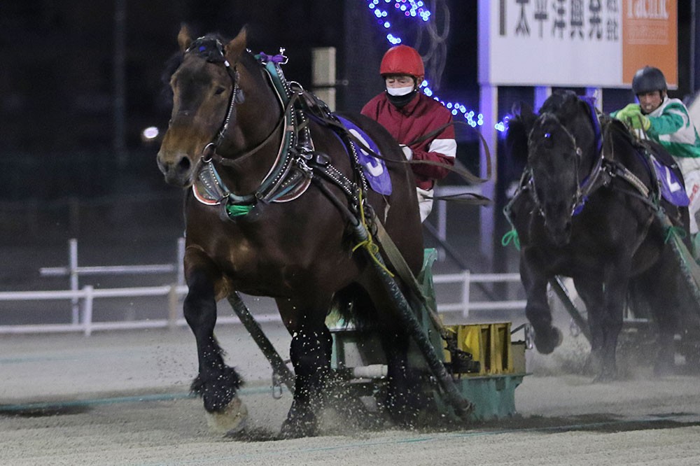 12月28日（火）メインレース騎手コメント アオノブラック号 | 【公式