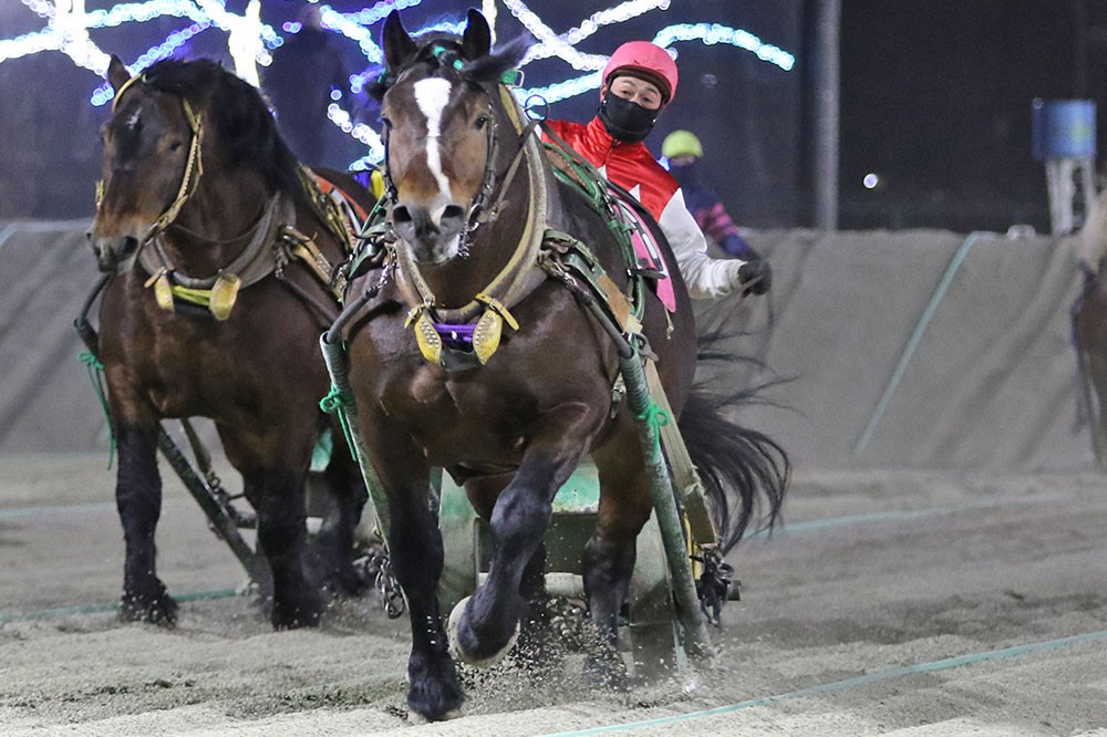 1月4日（火）ばんえい競馬 開催日です | 【公式】ばんえい十勝