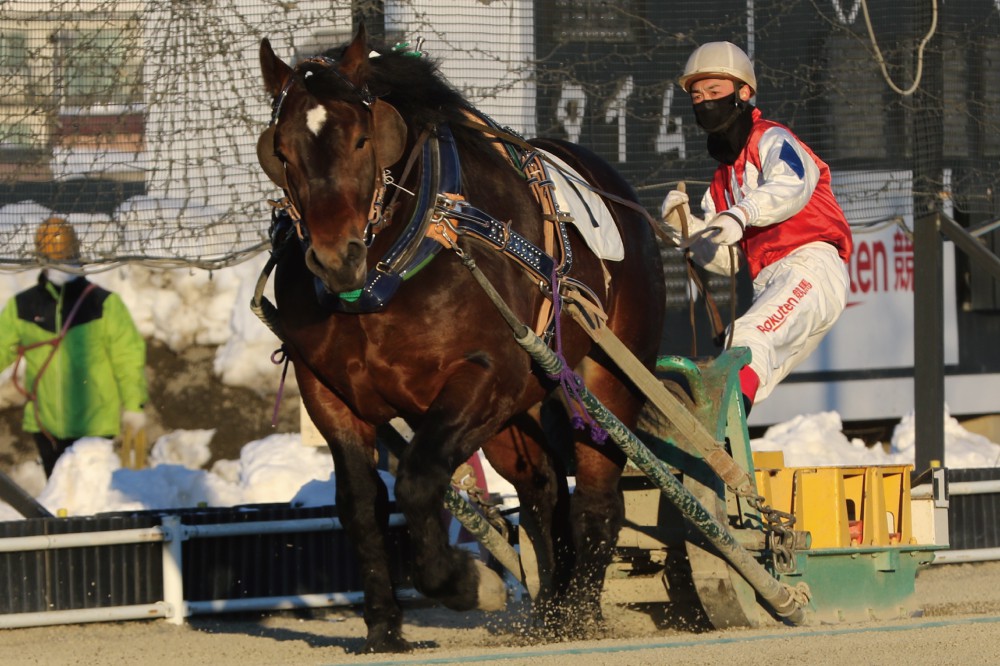 ばん馬の戦場―北海道ばんえい競馬追跡行 (MIZUKI NONFICTION S Amazon.com: ばん馬の戦場―北海道ばんえい競馬追跡行(MIZUKI