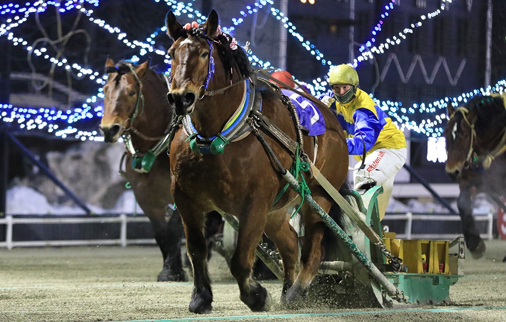 1月22日（土）ばんえい競馬 開催日です | 【公式】ばんえい十勝