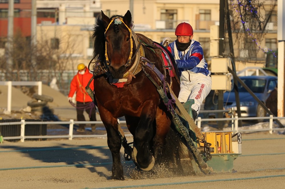 2月7日（月）ばんえい競馬 開催日です | 【公式】ばんえい十勝