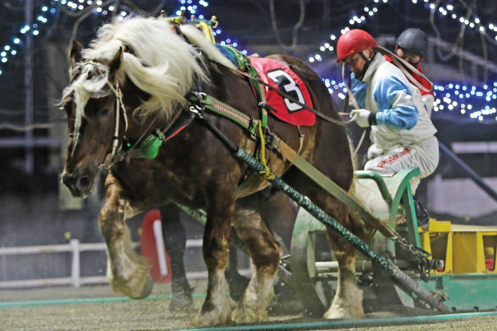 2月12日（土）ばんえい競馬 開催日です | 【公式】ばんえい十勝