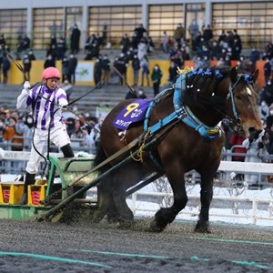競馬 歴代ばんえい最強馬投票優勝馬 鈴木恵介騎手直筆サイン木箱 証明書入り蹄鉄 oeVZBlB51638177706_m.jpg