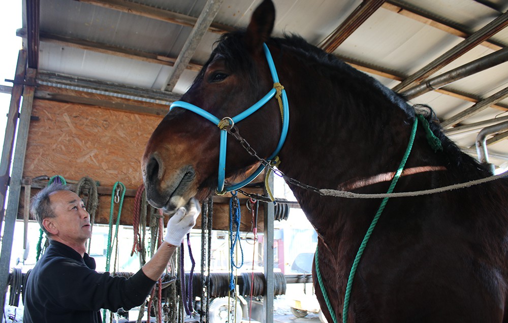 2月28日（月）ばんえい競馬 開催日です | 【公式】ばんえい十勝
