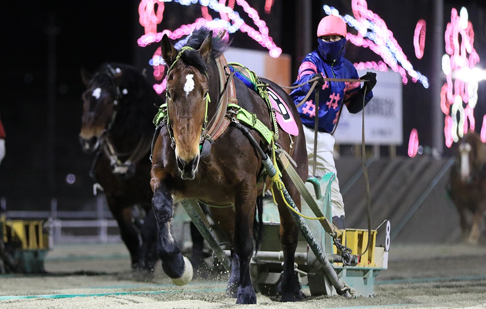 新品　未開封　ばんえい競馬　十勝　ばんえいグランプリ　法被　和　祭り　日本　赤 新品 未開封 ばんえい競馬 十勝 ばんえいグランプリ 法被 和