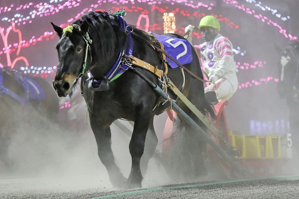 4月25日（月）メインレース騎手コメント オールラウンダー号