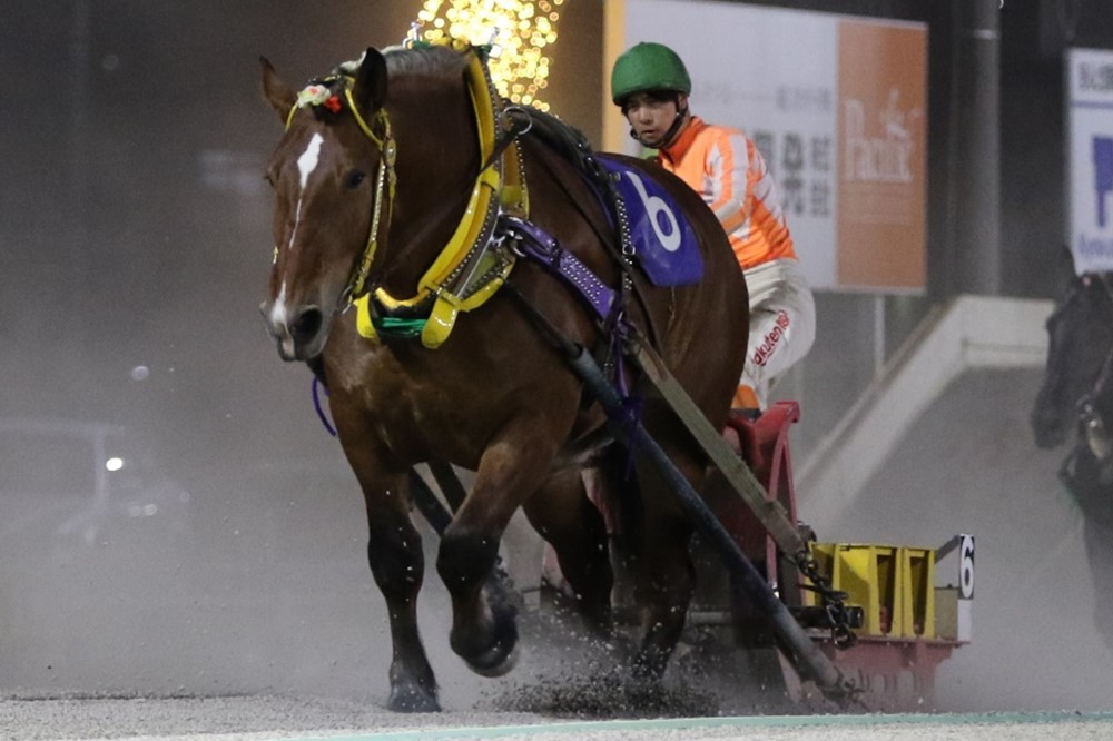 6月6日（月）メインレース騎手コメント サクラヒメ号 | 【公式