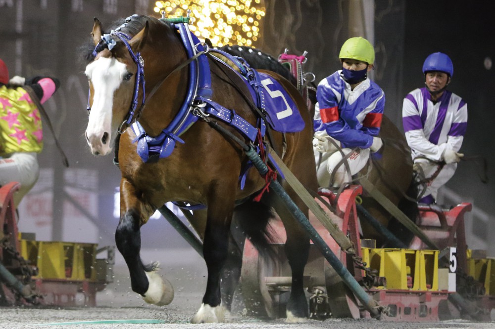 8月6日（土）メインレース騎手コメント ヘッチャラ号 | 【公式