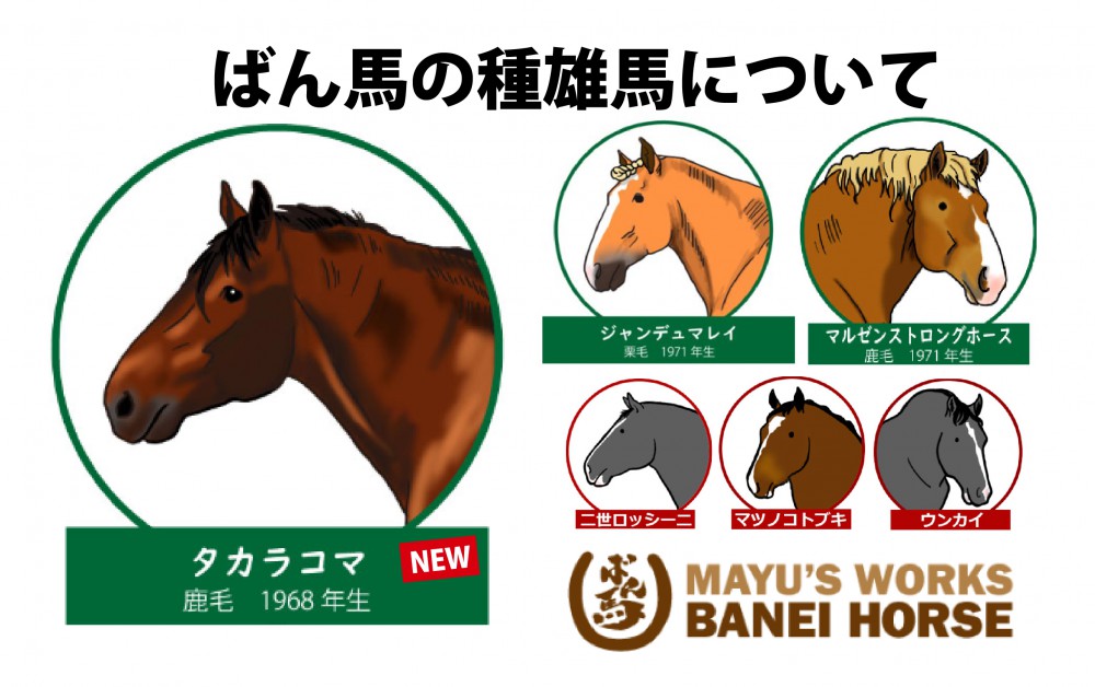ブログ] ばん馬の種雄馬について | 【公式】ばんえい十勝