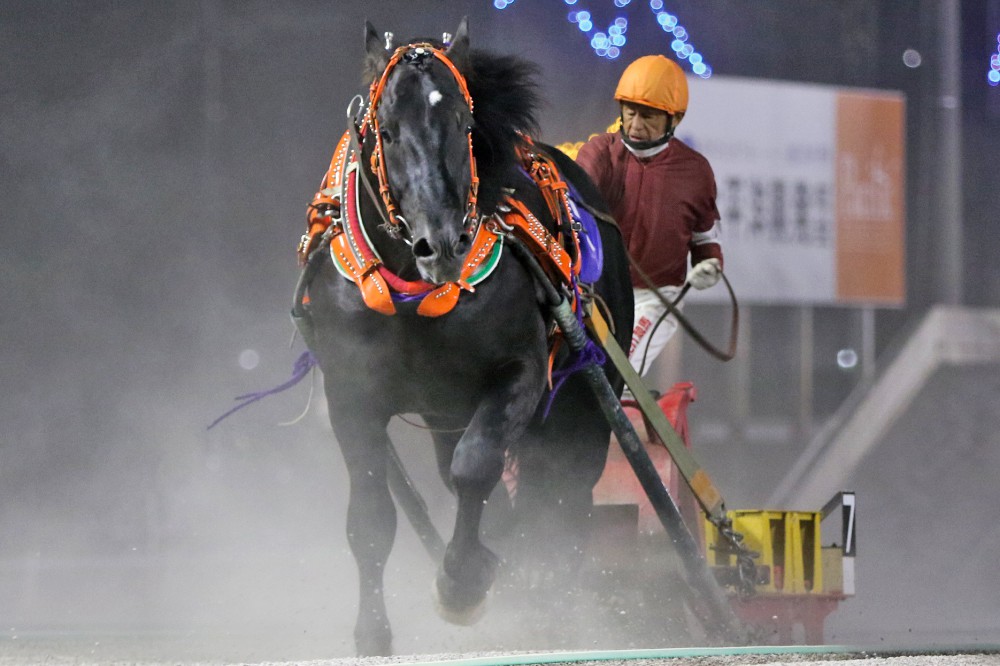 9月12日（月）メインレース騎手コメント ヤマカツエース号 | 【公式