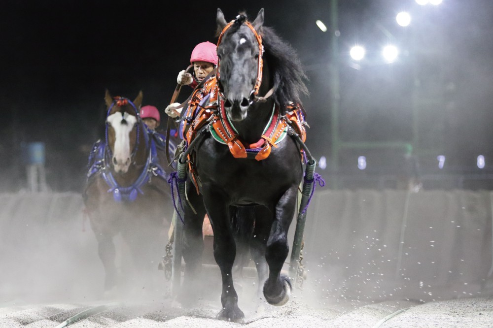 早い者勝ち。 10月2日（日）メインレース騎手コメント ヤマカツエース号 | 【公式