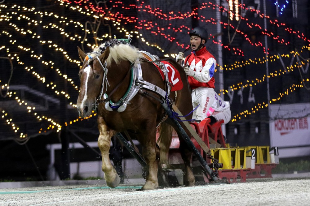 訂正】「第46回ナナカマド賞」（BG3）の結果 | 【公式】ばんえい十勝