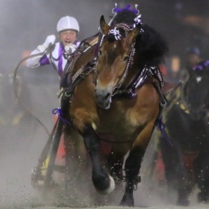 新品　未開封　ばんえい競馬　十勝　ばんえいグランプリ　法被　和　祭り　日本　赤 新品 未開封 ばんえい競馬 十勝 ばんえいグランプリ 法被 和