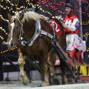 ナナカマド賞 | 【公式】ばんえい十勝