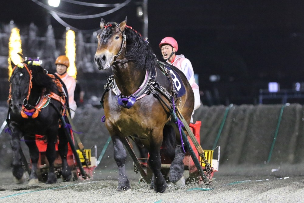 第32回北斗賞」（BG3）の結果 | 【公式】ばんえい十勝