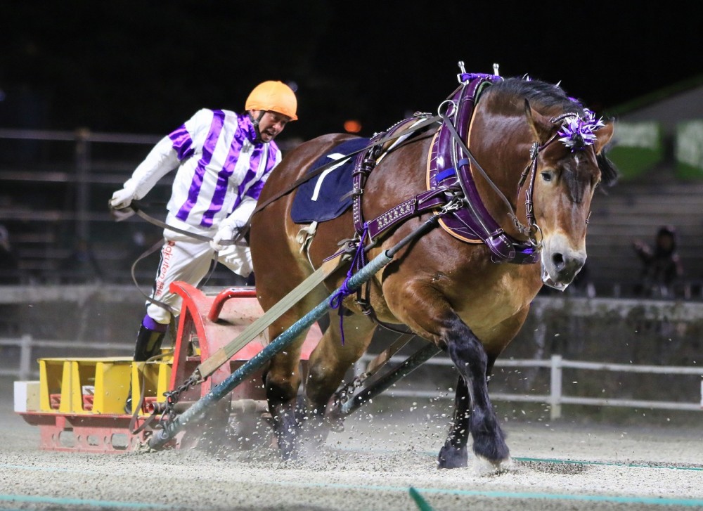 第15回ドリームエイジカップ」（BG3）の結果 | 【公式】ばんえい十勝