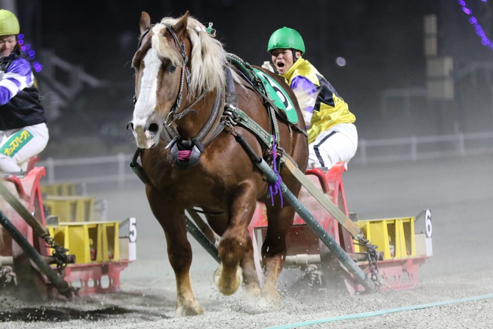 大幅値下げ中！【激レア】ばんえい十勝JRA騎手生サイン入りポスター 非売品 ［武豊騎手 直筆サイン入り］Number ポスター 競馬