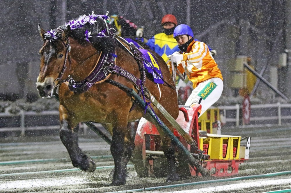 めろんぱんとなっています 新規開店】横浜めろんど たまプラーザ店の半額セール期間を逃さないで