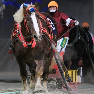 ヤングチャンピオンシップ | 【公式】ばんえい十勝