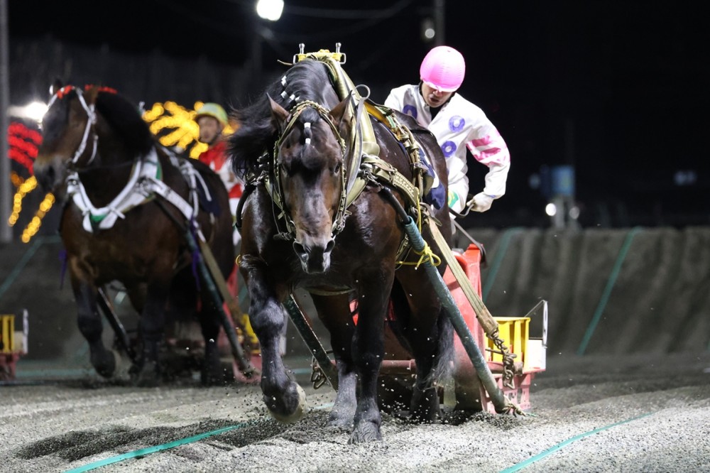 【中古】30years Iwate Keiga 岩手県競馬組合30周年記念誌 中古】30years Iwate Keiga 岩手県競馬組合30周年記念誌 中古