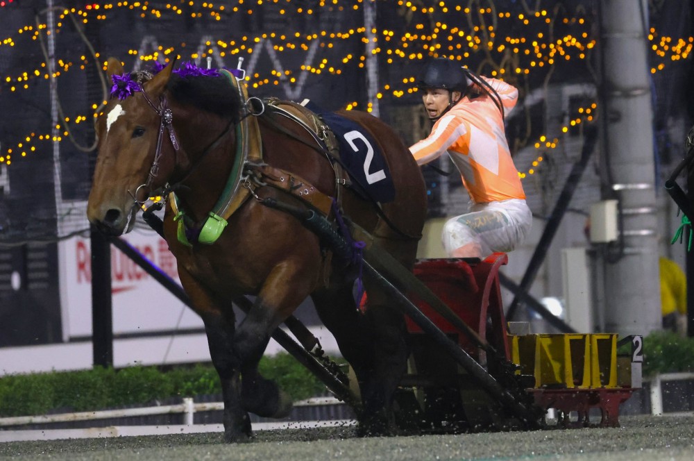 第48回ナナカマド賞」（BG3）の結果 | 【公式】ばんえい十勝