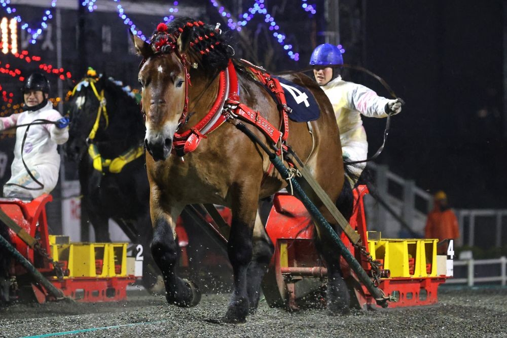 第46回北見記念」（BG2）の結果 | 【公式】ばんえい十勝