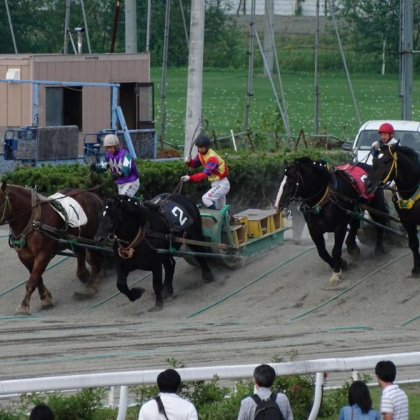 驚きの黒さ 公式 ばんえい十勝