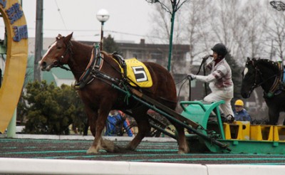 第20R　シマヅメサイア号　02:14.2