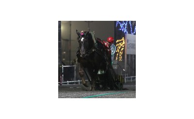 【レース結果】クインカップ(BG3)結果