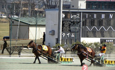 4Rサクセスクィーン