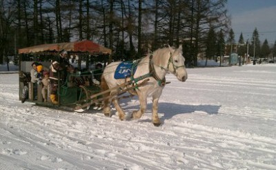 遊覧馬そり in おびひろ氷まつり