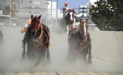 アアモンドガンバレ号とトレーナーズカップ