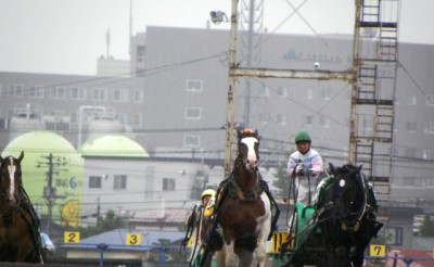 本日のアアモンドガンバレ号