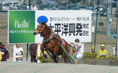 第14Ｒ　プリンセスヤヨイ