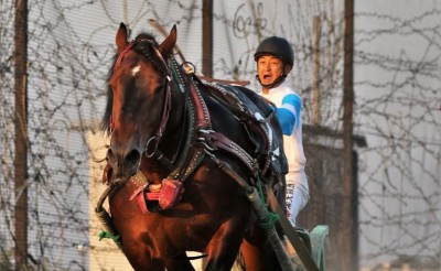 岩本利春調教師　通算1,000勝達成！／セレモニーのお知らせ