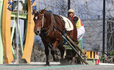 村上慎一調教師　通算1,000勝達成！