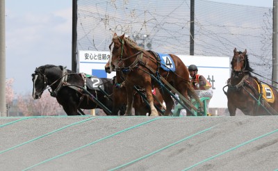 令和元年度第5回能力検査について（結果）