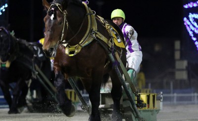 ホクショウマサル号が、ばんえい競馬史上初の20連勝達成！