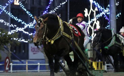 ホクショウマサル号が29連勝を達成