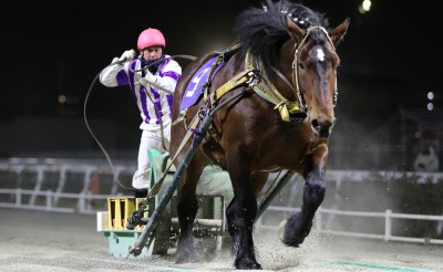 ホクショウマサル号が最多連勝記録更新の快挙達成