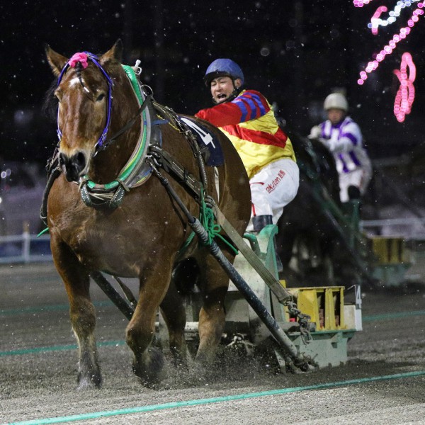 第41回チャンピオンカップ」（BG2）の結果 | 【公式】ばんえい十勝