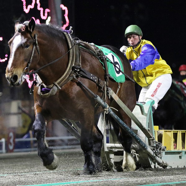 ばん馬の戦場―北海道ばんえい競馬追跡行 (MIZUKI NONFICTION S 4月27日（火）ばんえい競馬 開催日です | 【公式】ばんえい十勝