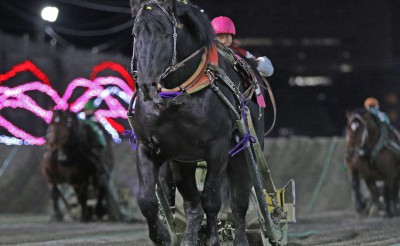 3月6日（金）ばんえい競馬　開催日です