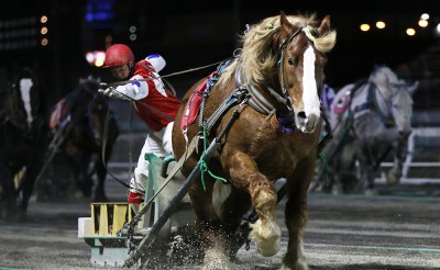 3月14日（土）ばんえい競馬　開催日です